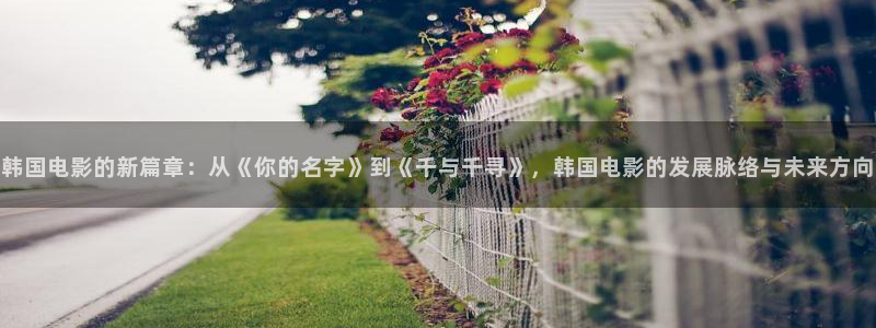 木瓜网：韩国电影的新篇章：从《你的名字》到《千与千寻》，韩国电影的发展脉络与未来方向