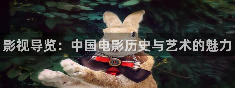 木瓜影视下载：影视导览：中国电影历史与艺术的魅力