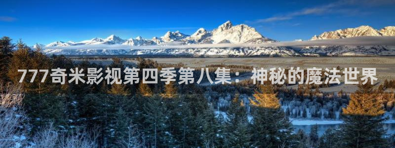 木瓜影院下载：777奇米影视第四季第八集：神秘的魔法世界