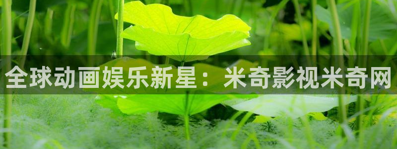 木瓜影视免费观看：全球动画娱乐新星：米奇影视米奇网
