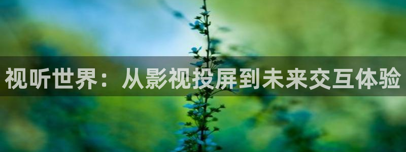 木瓜视频网：视听世界：从影视投屏到未来交互体验