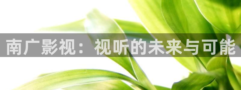 木瓜影院电视剧电影：南广影视：视听的未来与可能