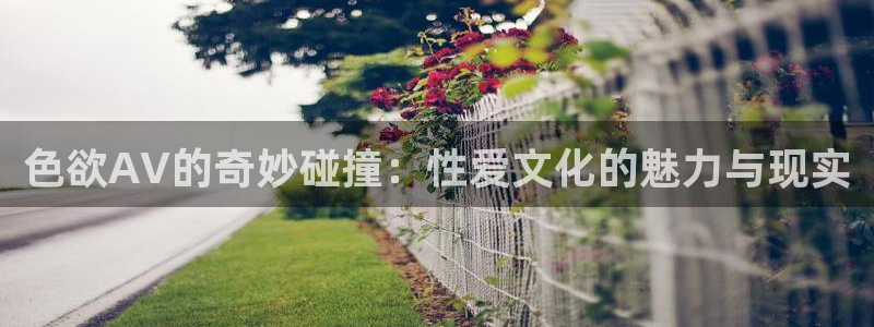 万影网木瓜视频：色欲AV的奇妙碰撞：性爱文化的魅力与现实