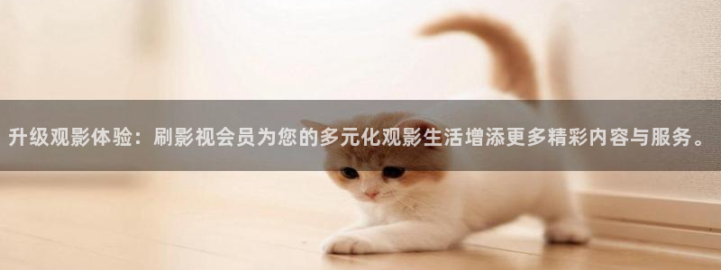 木瓜电影片：升级观影体验：刷影视会员为您的多元化观影生活增添更多精彩内容与服务。