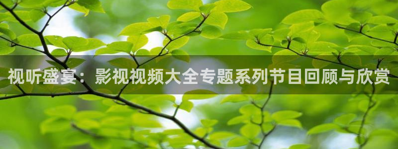 木瓜看片：视听盛宴：影视视频大全专题系列节目回顾与欣赏