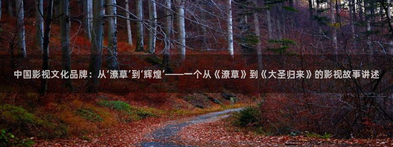 木瓜影视大全：中国影视文化品牌：从‘潦草’到‘辉煌’——一个从《潦草》到《大圣归来》的影视故事讲述